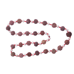 7 Mukhi Rudraksha Mala 27 beads (Certified) 55.588gms