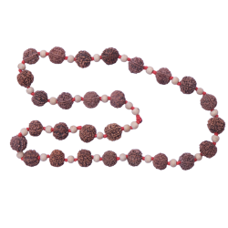 7 Mukhi Rudraksha Mala 27 beads (Certified) 70.525g