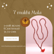 7 mukhi Mala 1+108 beads (Certified) 31.33 gms
