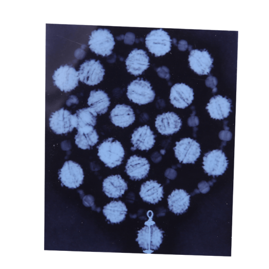 7 Mukhi Rudraksha Mala 27 beads (Certified) 62.525g MALA, 7 Mukhi Mala / Bracelet image