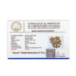 7 Mukhi Rudraksha Mala 27 beads (Certified) 69.14g