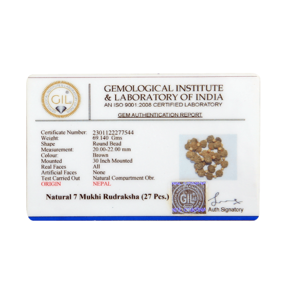 7 Mukhi Rudraksha Mala 27 beads (Certified) 70.525g image