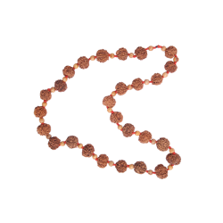 7 Mukhi Rudraksha Mala 27 beads (Certified) 69.14g