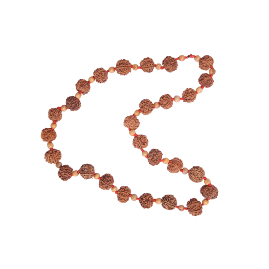 7 Mukhi Rudraksha Mala 27 beads (Certified) 70.525g image