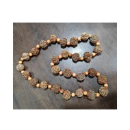 7 Mukhi Rudraksha Mala 27 beads (Certified) 66.03gms