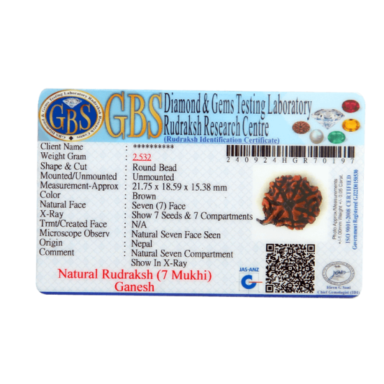 7 Mukhi Ganesha Rudraksha Size: 21.75 mm (With Lab Certificate) image