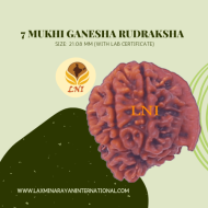 7 Mukhi Ganesha Rudraksha Size: 21.08 mm (With Lab Certificate)