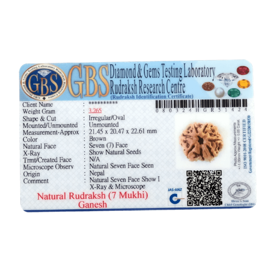 7 Mukhi Ganesha Rudraksha Size: 21.45 mm (With Lab Certificate) image