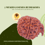 7 Mukhi Ganesha Rudraksha Size: 23.44 mm (With Lab Certificate)