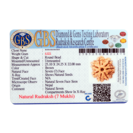 Certified 7 Mukhi Rudraksha 25.10mm – 7 Seeds Verified via X-Ray | Authentic Nepal Bead