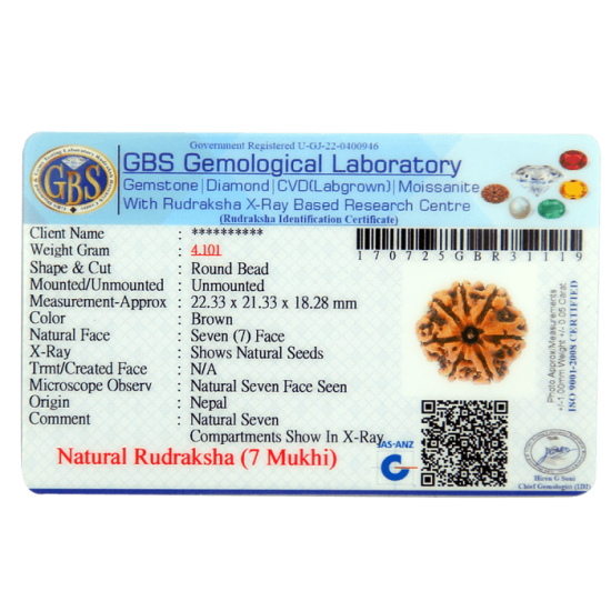 7 Mukhi Rudraksha Size: 22.85 mm (Certified) Rudraksha, 7 Mukhi Rudraksha, 7 Mukhi Rudraksha from Nepal image