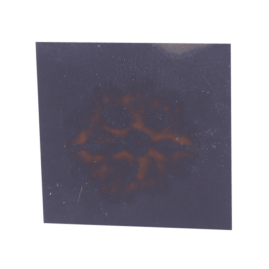 7 Mukhi Rudraksha Size: 22.70 mm (Certified) image