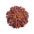 7 Mukhi Rudraksha Size: 26.30 mm (Certified)