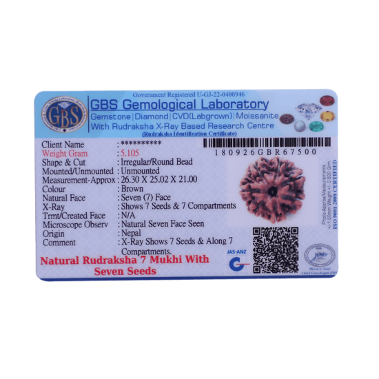 7 Mukhi Rudraksha Size: 25.44 mm (Certified)(7 Seeds in X-ray) Rudraksha, 7 Mukhi Rudraksha, 7 Mukhi Rudraksha from Nepal image