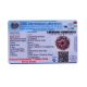 7 Mukhi Rudraksha Size: 25.44 mm (Certified)(7 Seeds in X-ray) Rudraksha, 7 Mukhi Rudraksha, 7 Mukhi Rudraksha from Nepal image