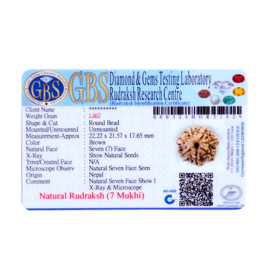 7 Mukhi Rudraksha Size: 25.44 mm (Certified)(7 Seeds in X-ray) Rudraksha, 7 Mukhi Rudraksha, 7 Mukhi Rudraksha from Nepal image