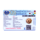 7 Mukhi Rudraksha Size: 25.44 mm (Certified)(7 Seeds in X-ray) Rudraksha, 7 Mukhi Rudraksha, 7 Mukhi Rudraksha from Nepal image