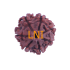 7 Mukhi Rudraksha Size: 22.26 mm (Certified)
