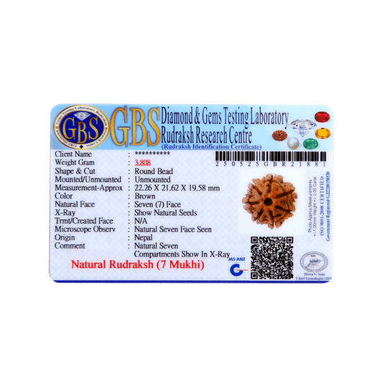 7 Mukhi Rudraksha Size: 28.30 mm (Certified)(7 Seeds in X-ray) image