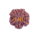 7 Mukhi Rudraksha Size: 22.85 mm (Certified) Rudraksha, 7 Mukhi Rudraksha, 7 Mukhi Rudraksha from Nepal image