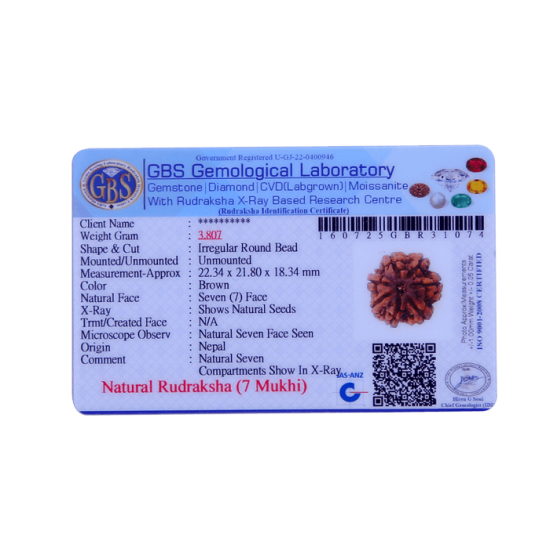7 Mukhi Rudraksha Size: 22.85 mm (Certified) Rudraksha, 7 Mukhi Rudraksha, 7 Mukhi Rudraksha from Nepal image