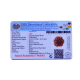 7 Mukhi Rudraksha Size: 22.85 mm (Certified) Rudraksha, 7 Mukhi Rudraksha, 7 Mukhi Rudraksha from Nepal image