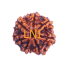 7 Mukhi Rudraksha Size: 22.50 mm (Certified)
