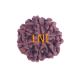 Certified 7 Mukhi Rudraksha 23.28mm from Nepal with 7 visible seeds – Vedic Saturn Remedy Bead