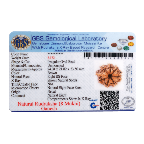 8 Mukhi Ganesha Rudraksha Size 19.55 mm (With Lab Certificate) image