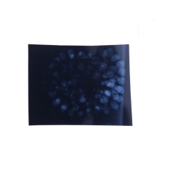 8 Mukhi Rudraksha Mala 27.375g 109beads