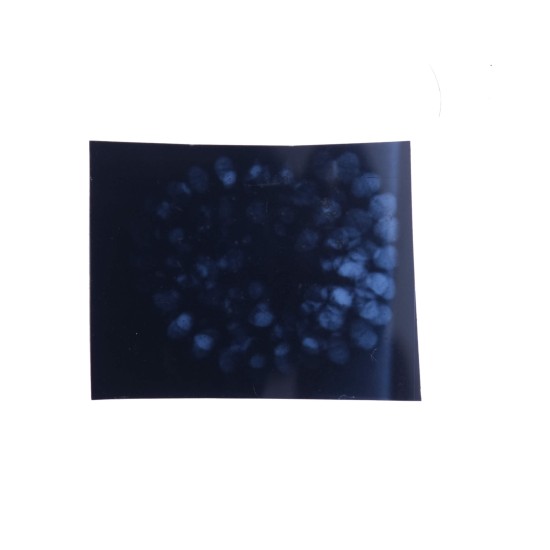 8 Mukhi Rudraksha Mala 27.375g 109beads MALA, 8 Mukhi Mala / Bracelet image