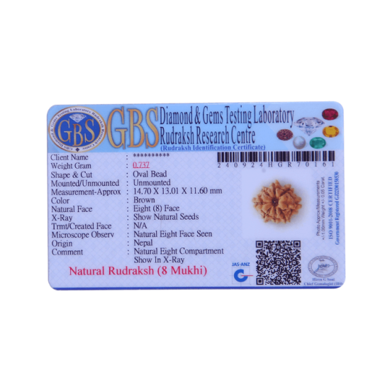 8 Mukhi Rudraksha Size 15.02 mm (Certified) image