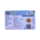 8 Mukhi Rudraksha Size 15.02 mm (Certified) image
