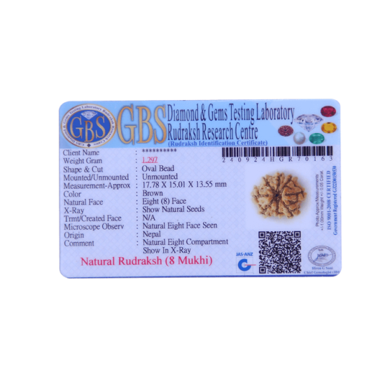 8 Mukhi Rudraksha Size 21.80 mm (Certified) image