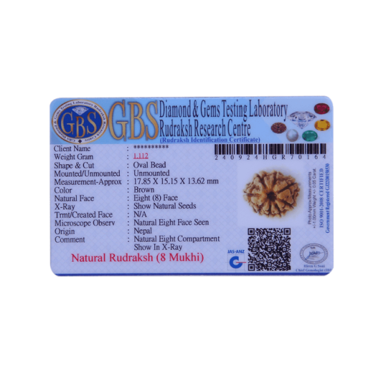 8 Mukhi Rudraksha Size 18.57 mm (Certified) image
