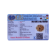 8 Mukhi Rudraksha Size 18.57 mm (Certified) image