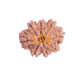 8 Mukhi Rudraksha Size 19.17 mm (Certified) Rudraksha, 8 Mukhi Rudraksha, 8 Mukhi Rudraksha from Nepal image
