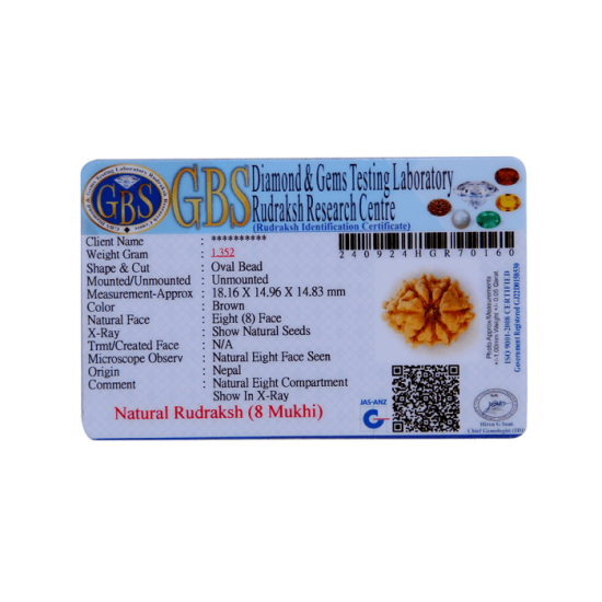 8 Mukhi Rudraksha Size 24.82 mm (Certified) image