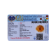 8 Mukhi Rudraksha Size 24.82 mm (Certified) image