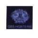 8 Mukhi Rudraksha Size 24.82 mm (Certified) image