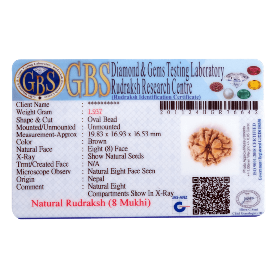 8 Mukhi Rudraksha Size 19.83 mm (Certified) image
