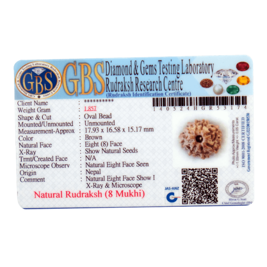 8 Mukhi Rudraksha Size 24.63 mm (Certified) image