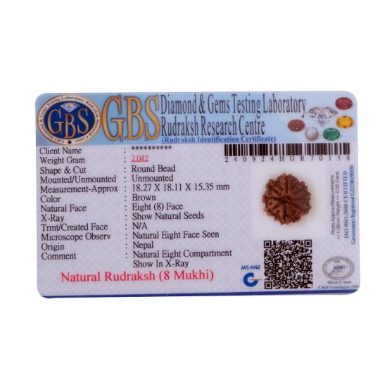 8 Mukhi Rudraksha Size 21.80 mm (Certified) image