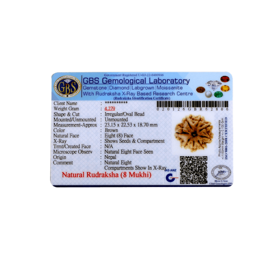8 Mukhi Rudraksha Size 23.15 mm (Certified) image