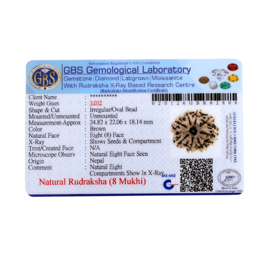 8 Mukhi Rudraksha Size 24.82 mm (Certified) image