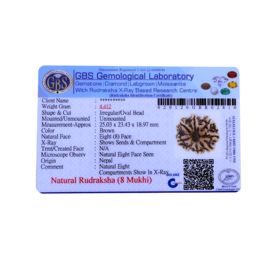 8 Mukhi Rudraksha Size 25.83 mm (Certified) image