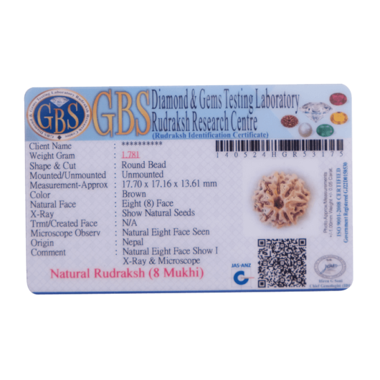 8 Mukhi Rudraksha Size 22.77 mm (Certified) image