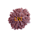 9 Mukhi Ganesha Rudraksha Size 24.98 mm (With Lab Certificate) Higher Rudraksha, Ganesha Rudraksha image