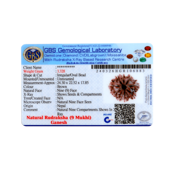 9 Mukhi Ganesha Rudraksha Size 24.98 mm (With Lab Certificate) Higher Rudraksha, Ganesha Rudraksha image
