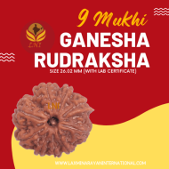 9 Mukhi Ganesha Rudraksha Size 26.02 mm (With Lab Certificate)